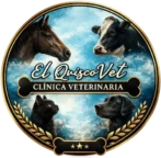 elquiscovet.cl